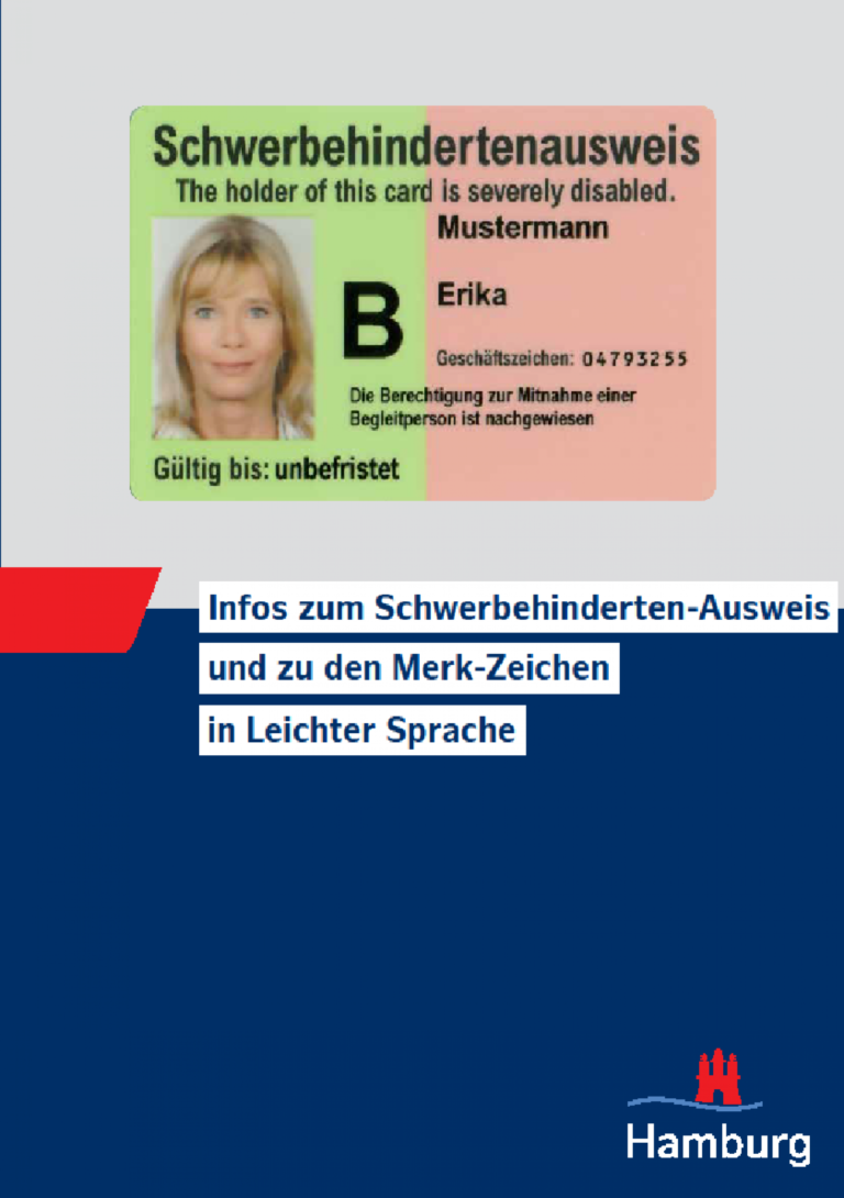 Grundlegende Informationen Zur Teilhabe Von Menschen Mit Behinderung ...